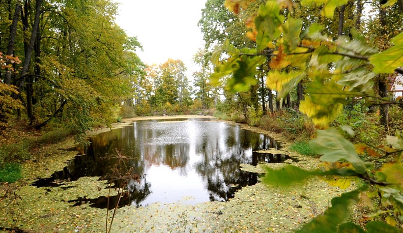 Калужское село вошло в Топ-10 красивейших мест по версии National Geographic Traveler