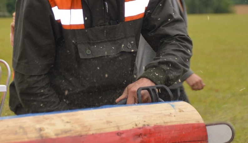 Команда Калужской области примет участие в конкурсе вальщиков леса