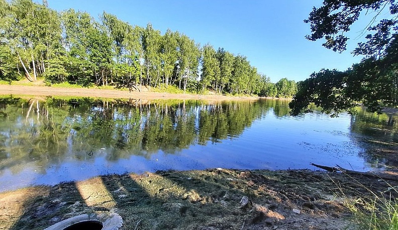 В Калуге из-за жары обмелел Бушмановский пруд