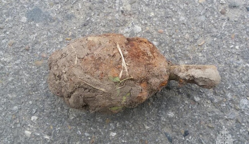 В деревне под Калугой нашли гранату времен Великой Отечественной войны