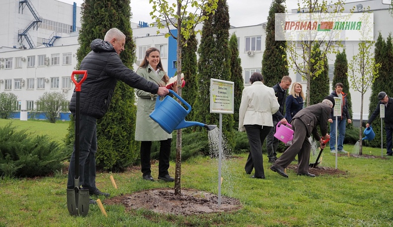 ФУНДАМЕНТ «ТАЙФУНА»