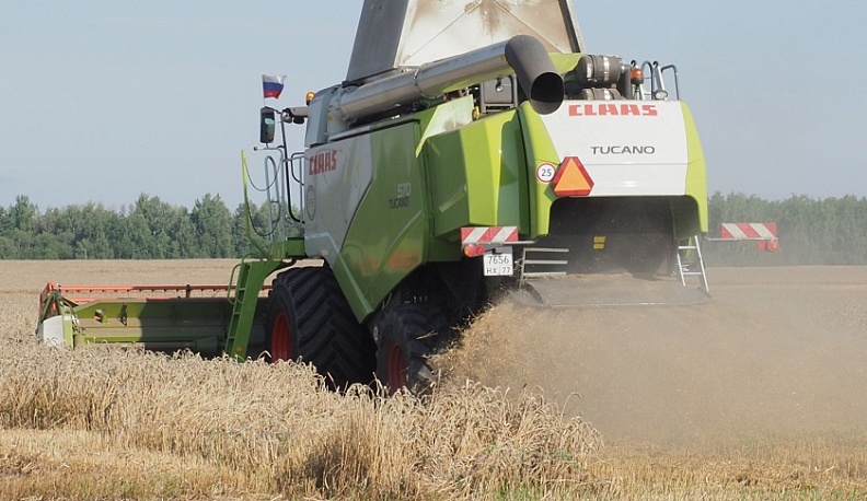 В Калужской области дожди вносят коррективы в уборочную страду