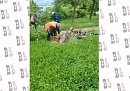 В Обнинске по просьбе жительницы с детской площадки убрали рухнувшее дерево