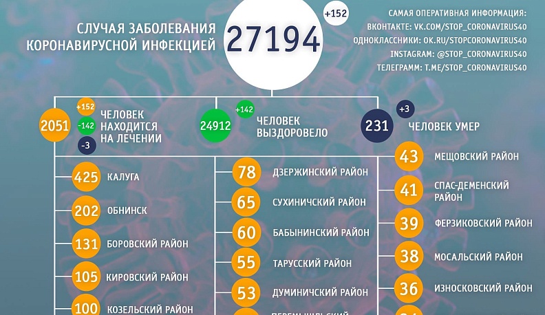 В Калужской области от коронавируса умерли два калужанина и один житель Козельского района