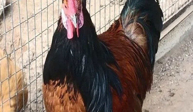 Сухиничские школьники открыли для себя агротуризм и историю родного района