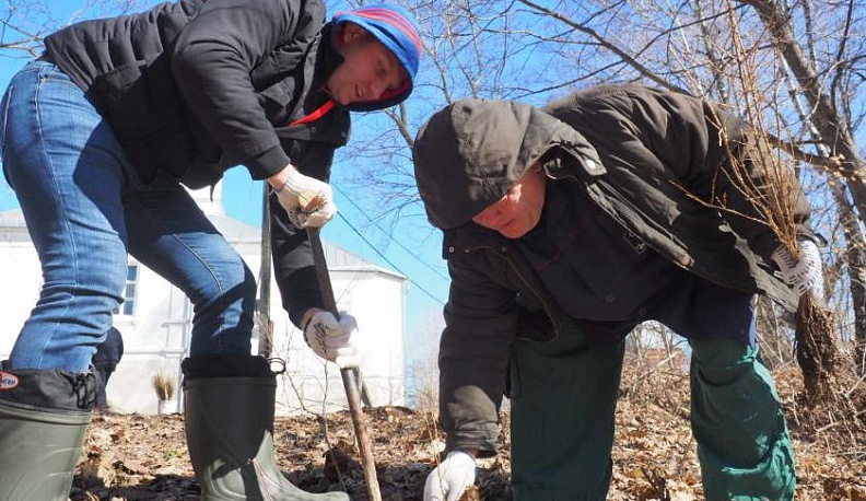 Волонтеры высадили на склоне Шамординского монастыря 600 саженцев