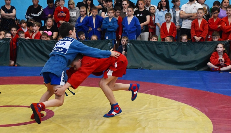В Людинове впервые прошёл межрегиональный турнир по самбо