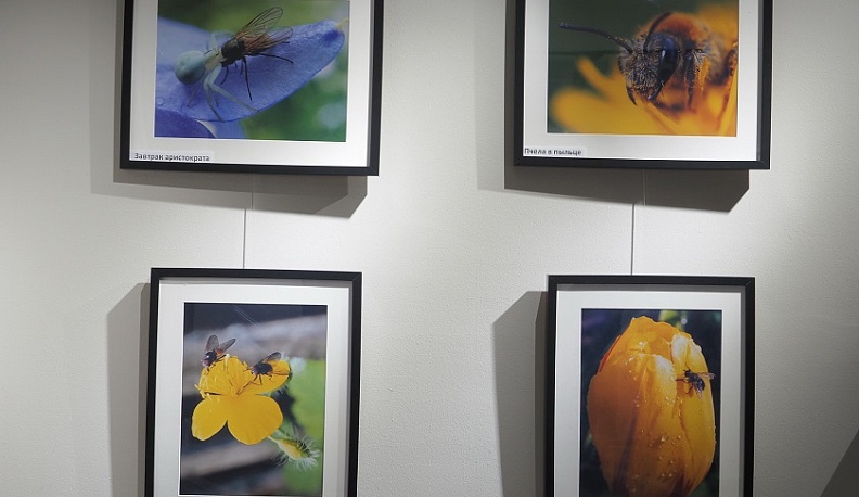 В калужском ТИЦ открылась фотовыставка Виталия Легостаева, посвященная дикой природе