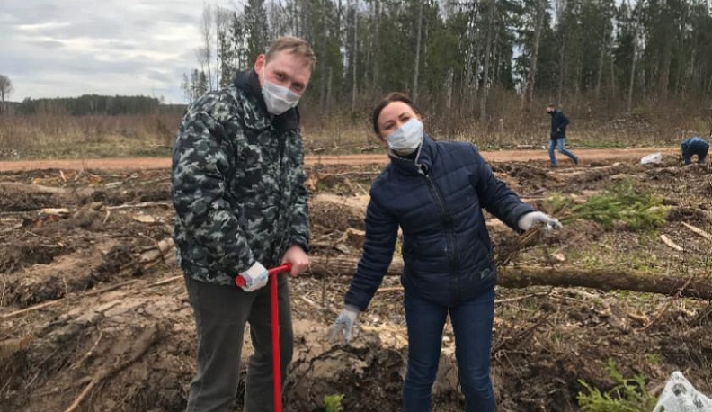 В Калуге высадили «Сад Памяти» из девяти тысяч елей