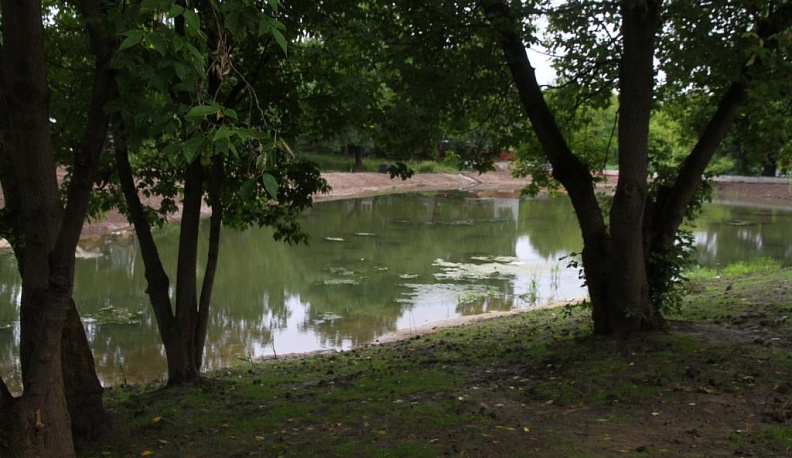 Пуховский пруд не превратится в болото