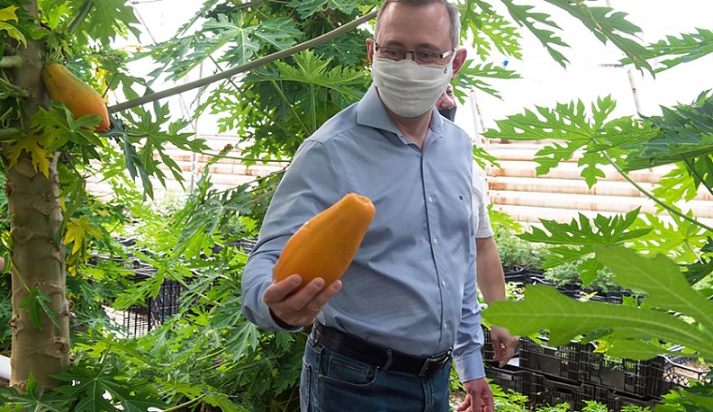 Владислав Шапша: «Галантус» оперативно перестраивает бизнес-процессы