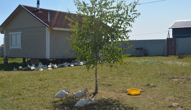 Родители участника СВО из Тарусы оформили соцконтракт на подсобное хозяйство