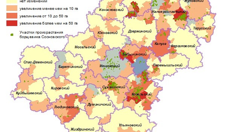 В Калужской области успешно борются с борщевиком