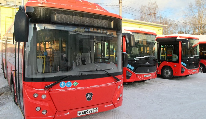 Благодаря специальным казначейским кредитам в Калужскую область поставили 28 автобусов