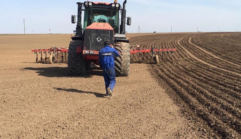 Более трёх тысяч тонн картофеля собрали в Калужской области