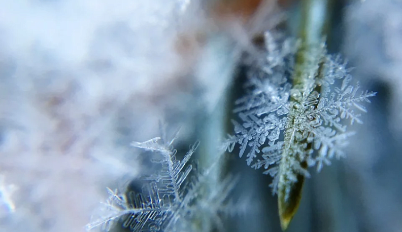 Легкий морозец и снег ждут калужан 29 декабря