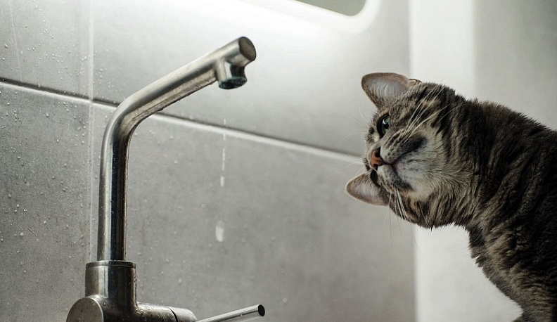 В Калуге на трех центральных улицах отключат воду