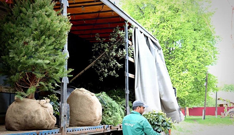 В Тарусе в Саду Ракицкого приступили к восстановлению ботанической коллекции 
