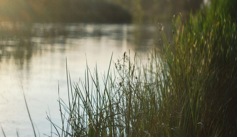В Калужской области нашли пропавшую 12-летнюю девочку