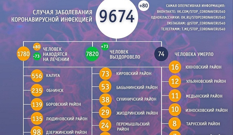 В Калужской области из больниц выписалось 73 человека