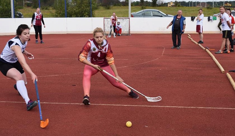 Хоккей  под летним солнцем