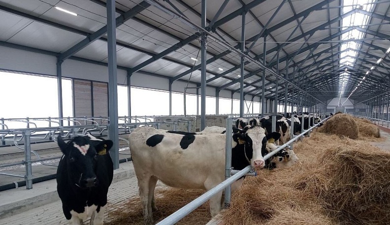 «Ульяновская нива» растёт!