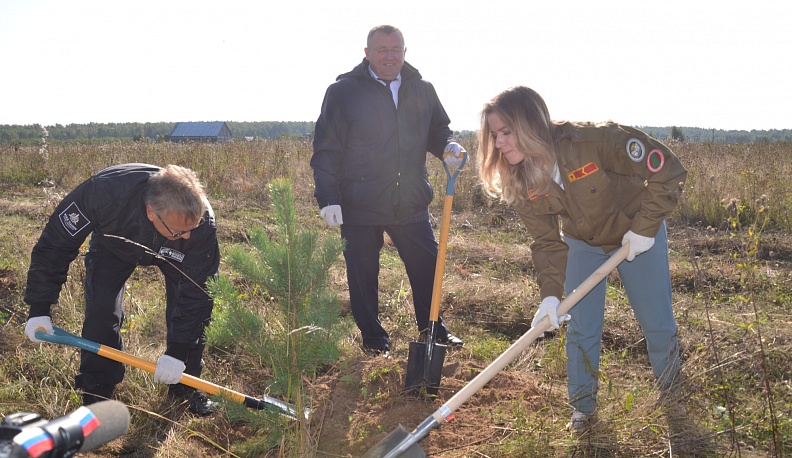 Зазеленеет новая аллея!