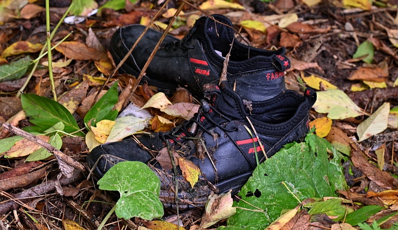 Участники акции «Зелёная Россия» очистили от мусора Комсомольскую рощу в Калуге