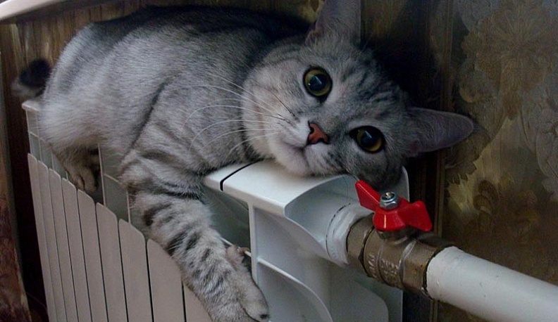 В понедельник тепло придет в дома жителей региона