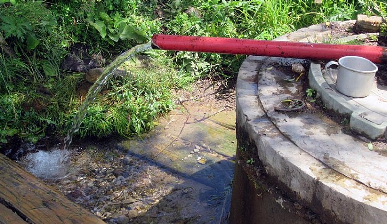 Не хлебом единым