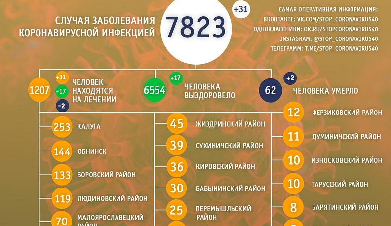 В Калужской области от коронавируса умерли еще два человека 