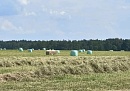 Юхновские аграрии заготавливают корма Юхновские аграрии заготавливают корма