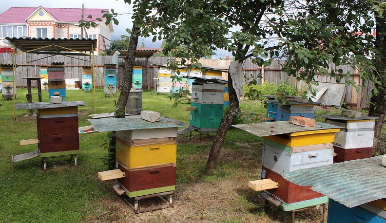 Пчела летит – пчеле дорогу!