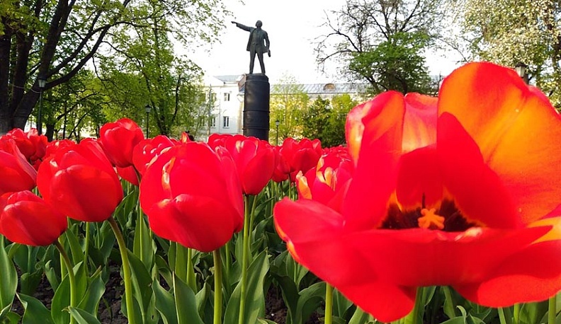 В Калуге в юбилейный год высадят миллион цветов