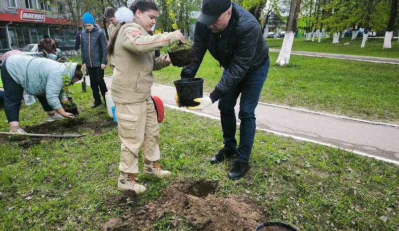 В Калуге в сквере на «Ольговке» высадили сирень