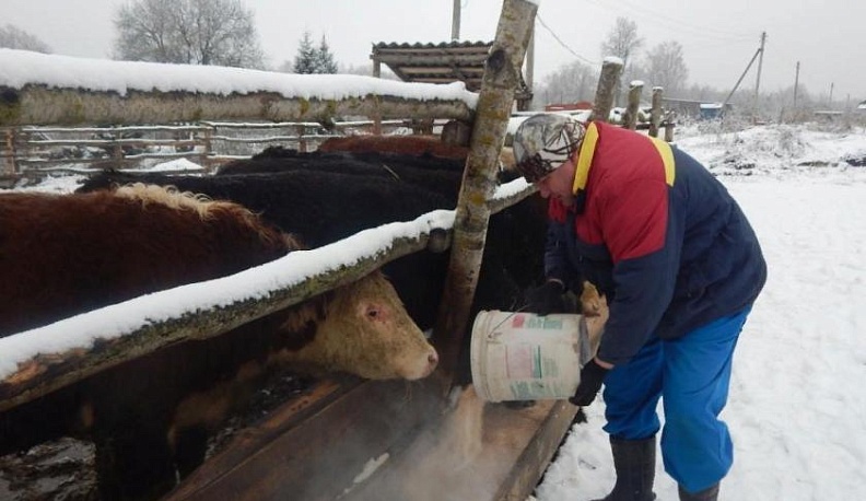 Семейный эксперимент