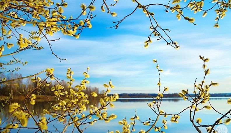 Конец апреля в Калуге будет прохладным