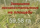 В Калужской области высадили около 60 гектаров новых лесных культур В Калужской области высадили около 60 гектаров новых лесных культур