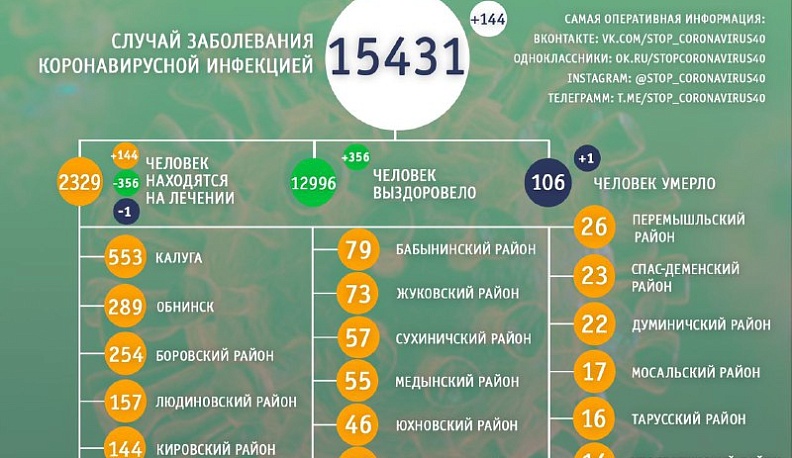 В Калужской области за сутки от коронавируса выздоровело 356 человек