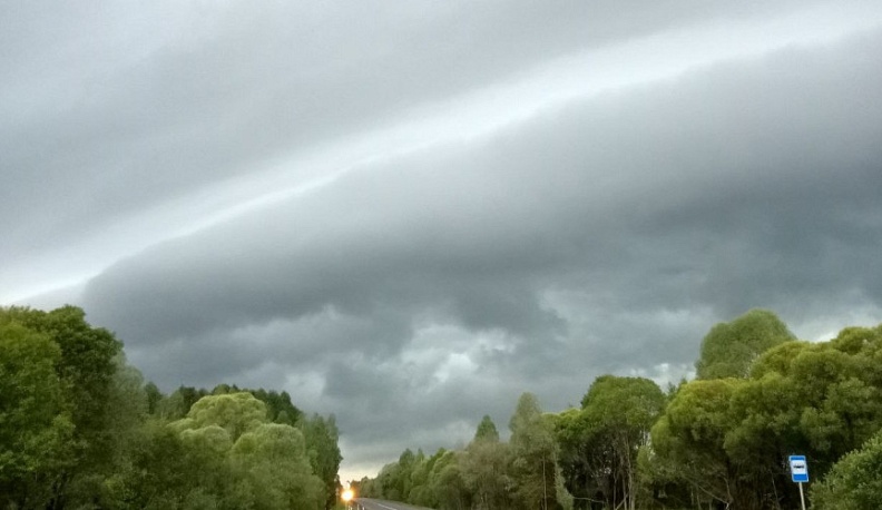 В Калуге неделя начнется с небольшого дождя 