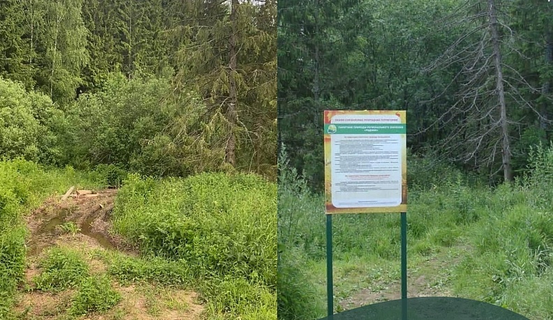В калужском минприроды пригрозили нарушителям, въезжающим на территорию памятника природы «Родник», установкой шлагбаума и фотоловушки