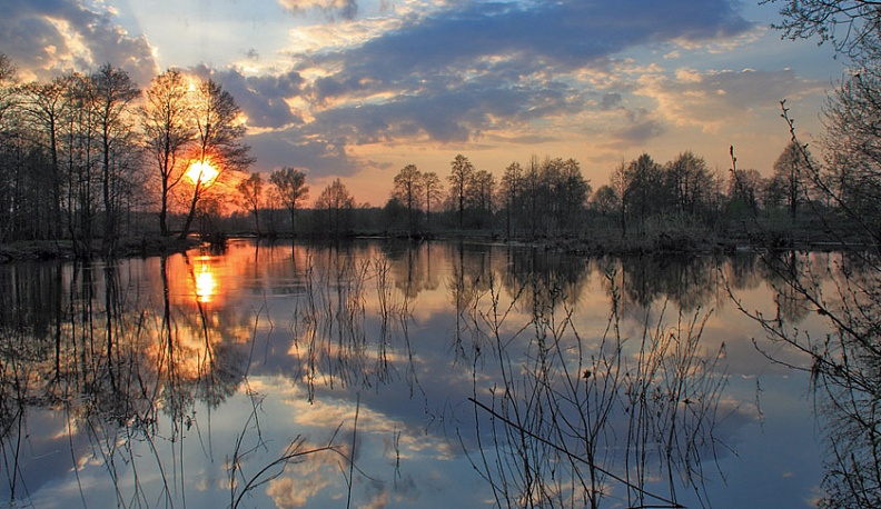 Сегодня в Калуге станет по-летнему жарко и солнечно