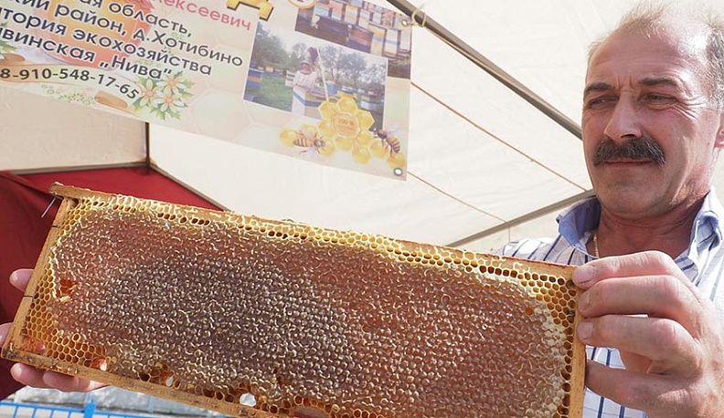 В Калуге проходит ярмарка меда