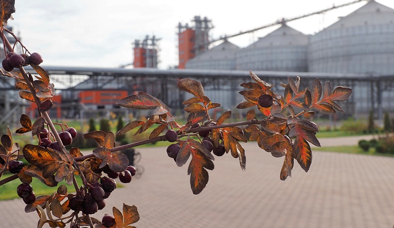 Инновации начистоту