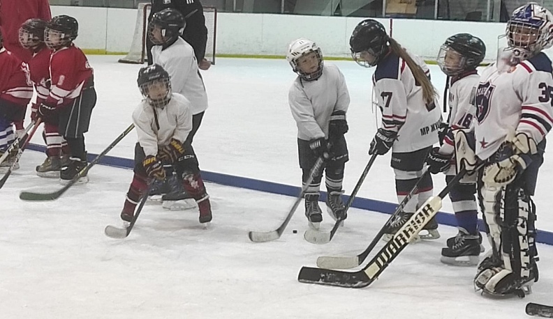 В Калуге завершился межрегиональный детский хоккейный турнир