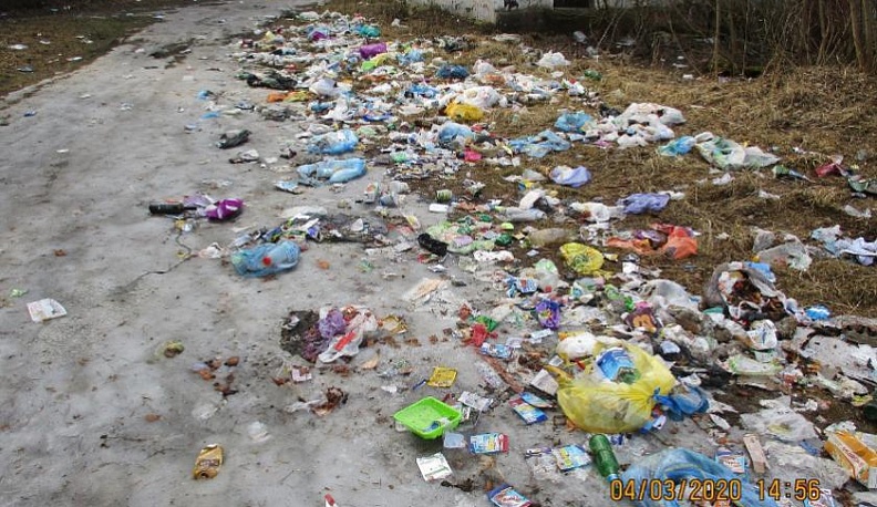 После жалоб в соцсетях мусор в Кондрове убрали 