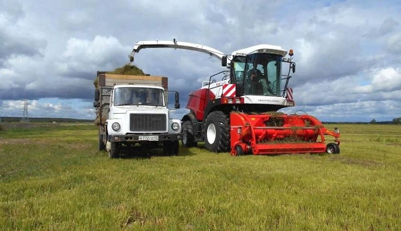 Солнце над полями