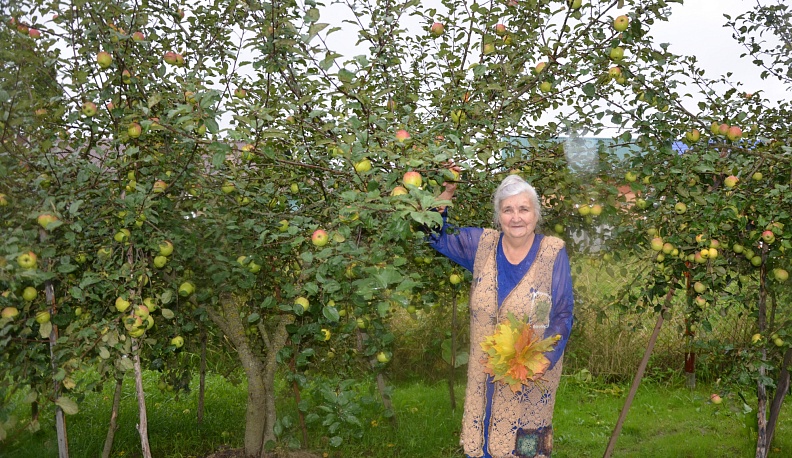 О вкусе к жизни и трудностях счёта