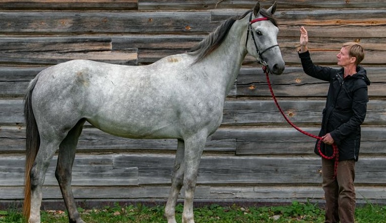 Марьяна Давыдова с лошадью Земляникой.