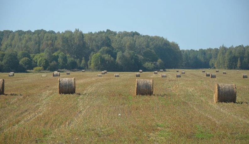 У добрых хозяев – добрый урожай